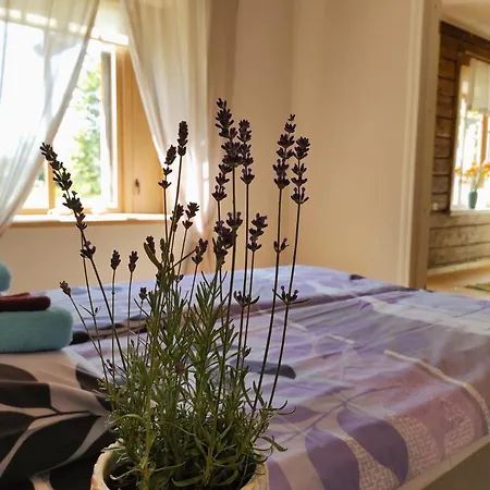 아파트 Retrovisiit Alma & Vilma Hellamaa (Hiiumaa)