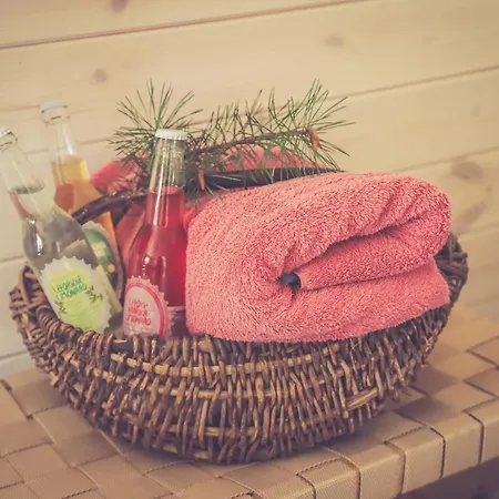 Retrovisiit Alma & Vilma