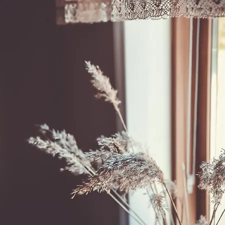 Retrovisiit Alma & Vilma 아파트