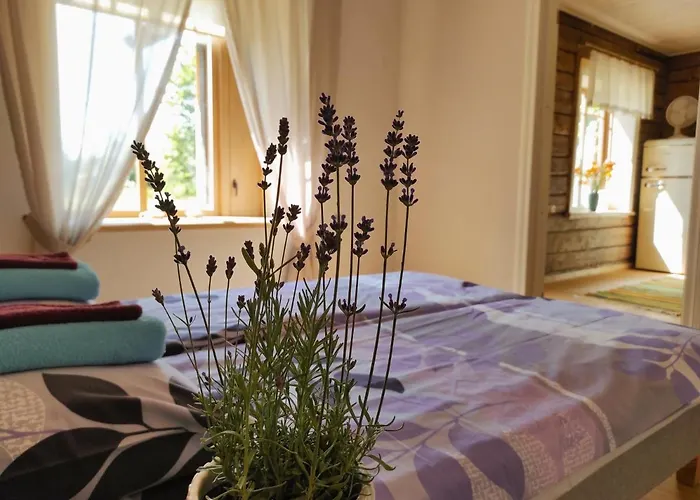 Apartament Retrovisiit Alma & Vilma Hellamaa (Hiiumaa)