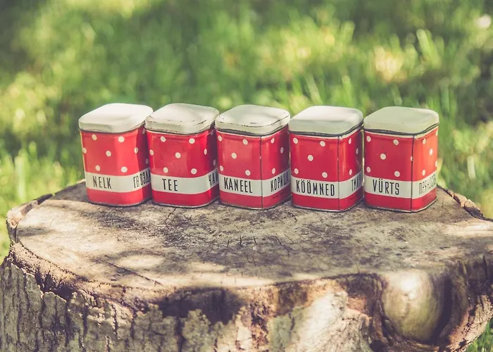 Retrovisiit Alma & Vilma Apartament Hellamaa (Hiiumaa)