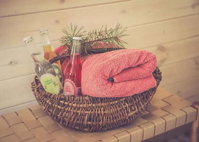 Retrovisiit Alma & Vilma