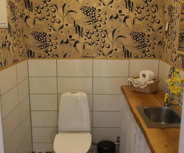 Apartament Retrovisiit Alma & Vilma *