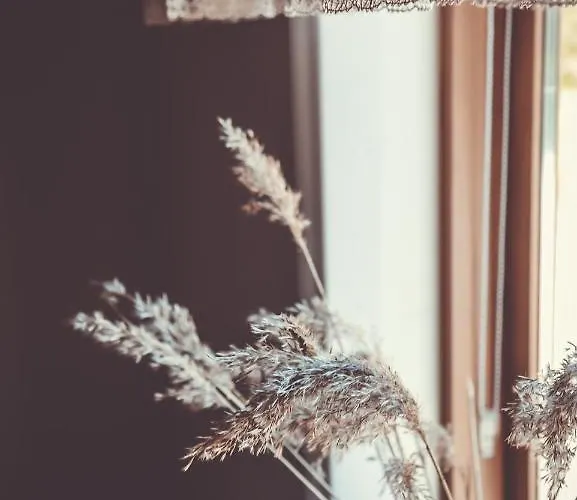 Retrovisiit Alma & Vilma Apartament